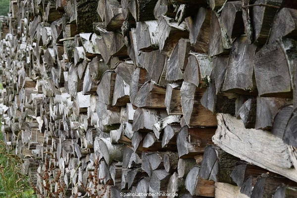 Ein großer Brennholzstapel.