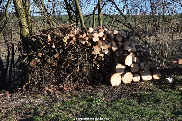 Brennholzstapel 10